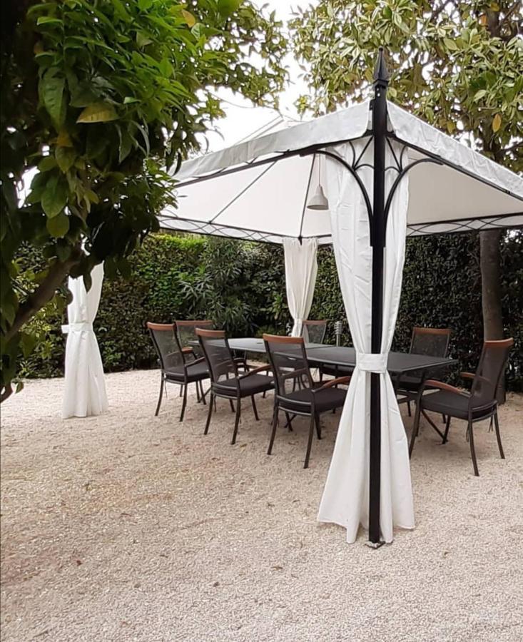 Apartament Luxury Zola Zadar